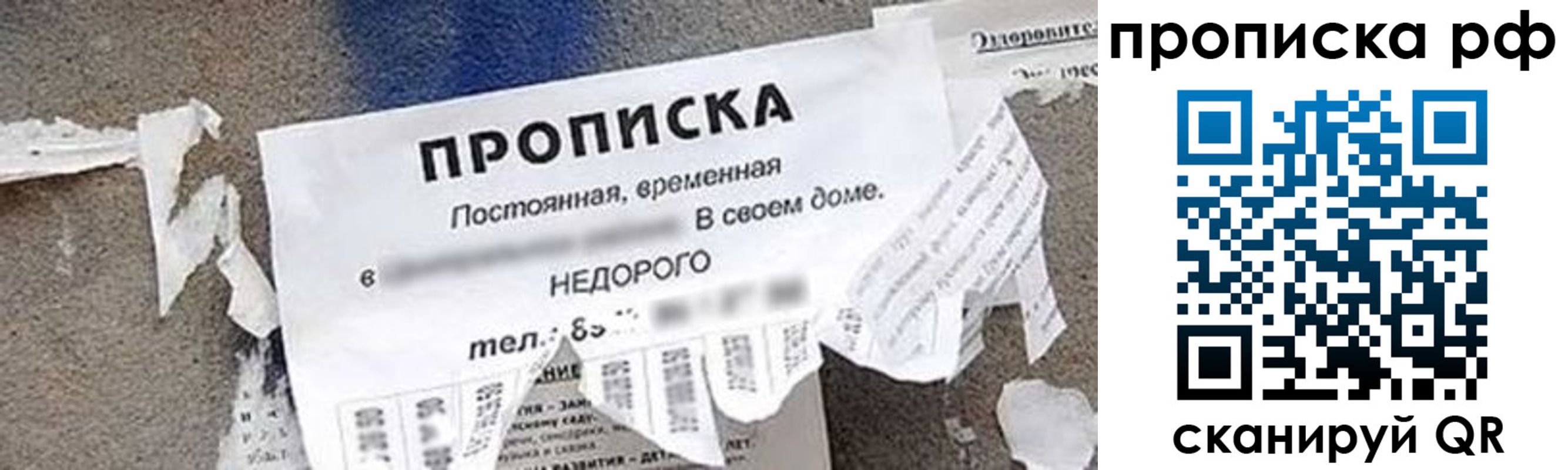 где прописаться в Кореновске